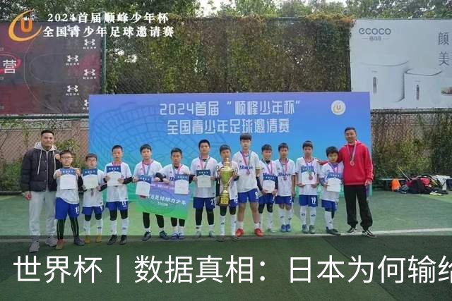 世界杯丨数据真相：日本为何输给巴西？