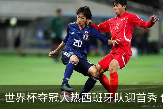 世界杯夺冠大热西班牙队迎首秀 伊朗队入境美国参赛