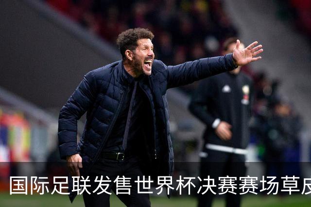 国际足联发售世界杯决赛赛场草皮 450美元一份
