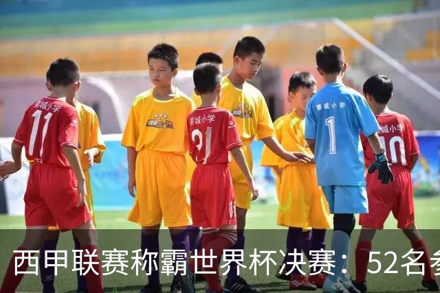 西甲联赛称霸世界杯决赛：52名参赛球员中24人效力西甲