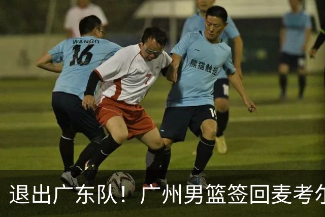 退出广东队！广州男篮签回麦考尔，上赛季坑惨杜锋了！