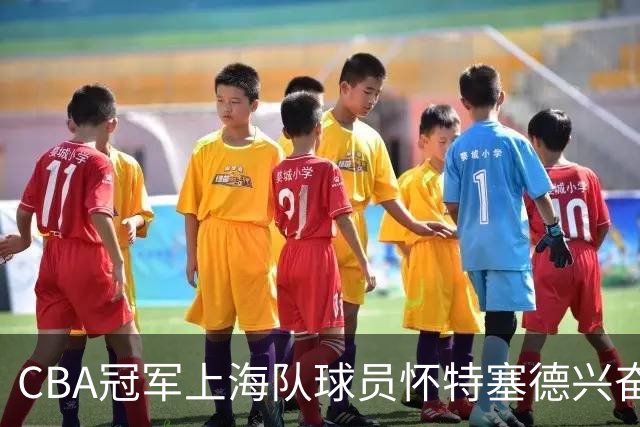 CBA冠军上海队球员怀特塞德兴奋剂违规